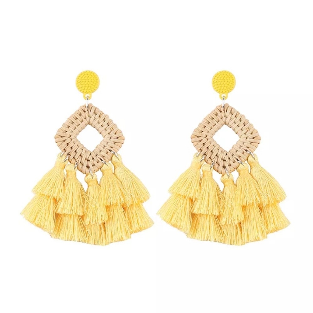 New Wooden Rattan Geometric Tassel Earrings - Picture 6 of 8